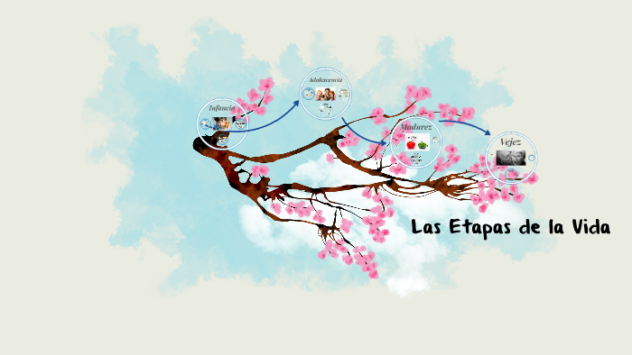 Las Etapas de la Vida by Maria Alejandra Bernaldo de Quirós on Prezi