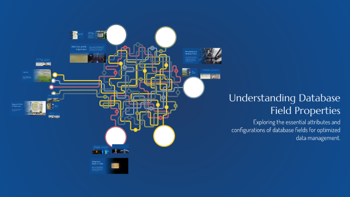 Understanding Database Field Properties by Alen Stha on Prezi
