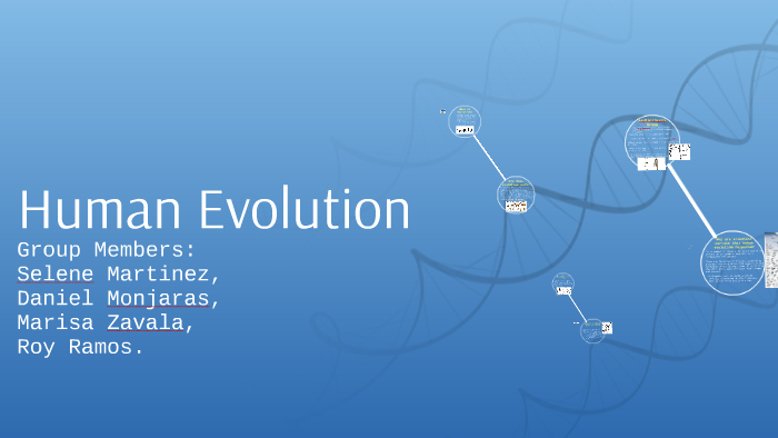 Human Evolution by selene martinez on Prezi