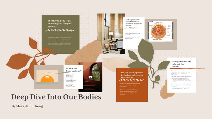 The Human Body by on Prezi Next