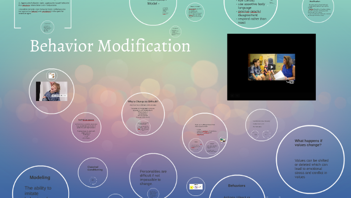 Behavior Modification by Hannah Kloeckl