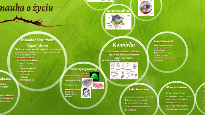 Klasa 7 Sprawdzian Biologia Nauka O życiu - Biologia- nauka o życiu by Maja Domańska on Prezi