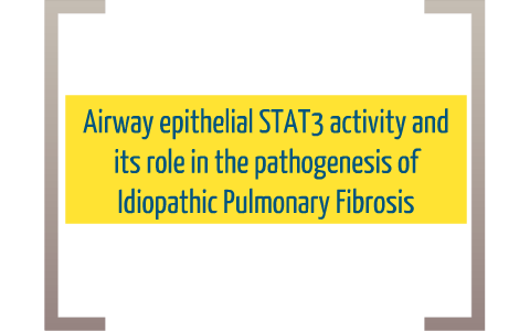 Airway epithelial STAT3 and IPF by Zach Dawes on Prezi