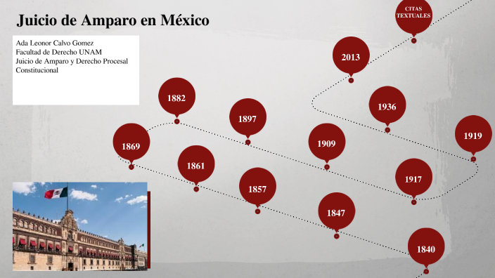 Juicio de Amparo y Derecho Procesal Constitucional by ADA LEONOR CALVO ...
