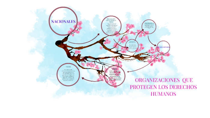ORGANIZACIONES QUE PROTEGEN LOS DERECHOS HUMANOS by Belen Arrieta on Prezi