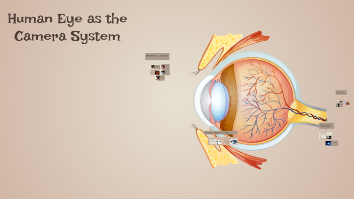 Human Eye as the Camera System by Ranganath G S on Prezi