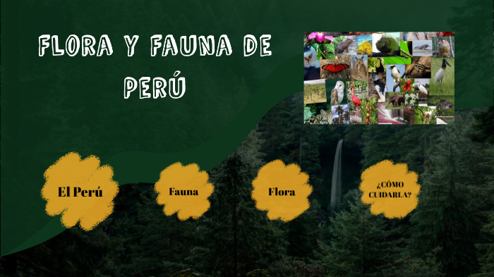 La diversidad de flora y fauna REGIONAL O NACIONAL by Pia Luciana ...