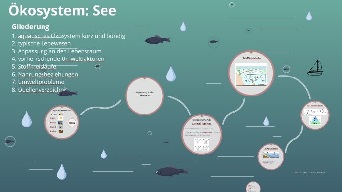 Ökosystem See by paul nordalm on Prezi