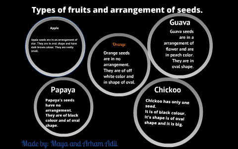 Types of fruits and seed arrangement. by sam ali on Prezi