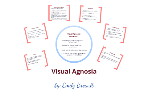 agnosia visual