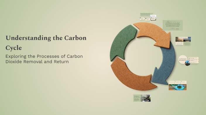 Understanding the Carbon Cycle by Sanuel Oduiniyi on Prezi