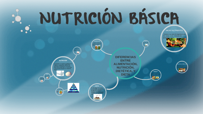 NutriciÓn BÁsica By 0598