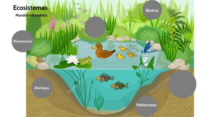 Ecosistemas by laura Martinez on Prezi