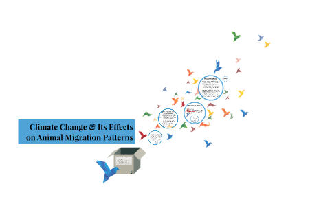 Climate Change & Its Effects on Animal Migration Patterns by Nicholas ...