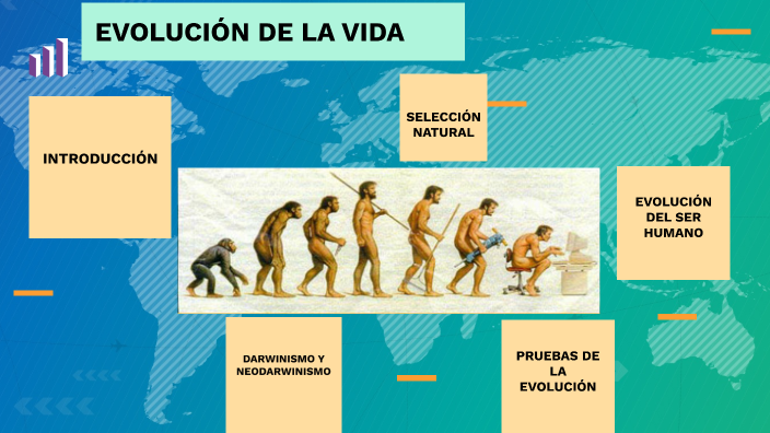 Evolución de la vida 1BGU by Evelyn Barrionuevo on Prezi