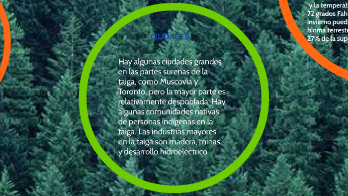 La taiga, o bosque boreal, es la biocenosis propia del clima by agustin ...