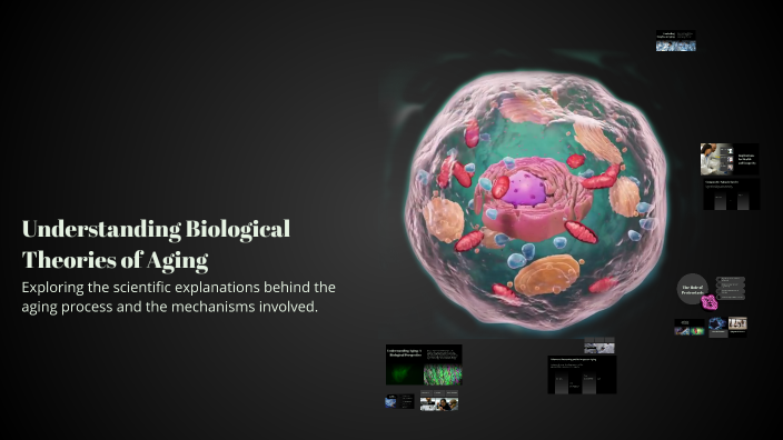 Understanding Biological Theories of Aging by bernard owusu on Prezi