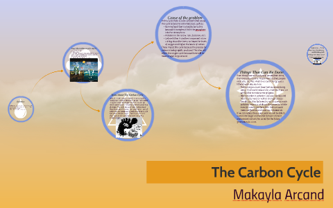 The Carbon Cycle by makayla arcand on Prezi