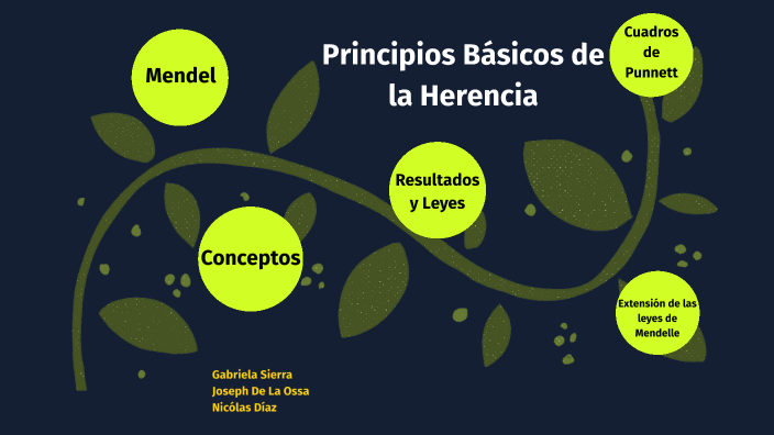 Herencia | Principios Básicos by NICOLÁS DÍAZ VILLALBA on Prezi