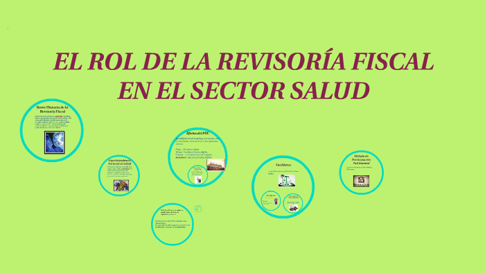 El Rol De La Revisoria Fiscal En El Sector Salud By Natalia Castañeda