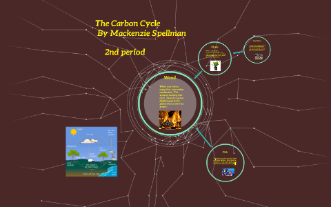 The Carbon Cycle by Mackenzie Spellman on Prezi