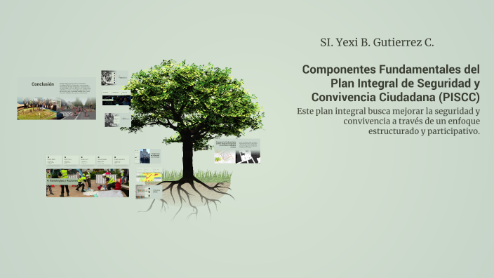 Componentes Fundamentales del Plan Integral de Seguridad y Convivencia ...