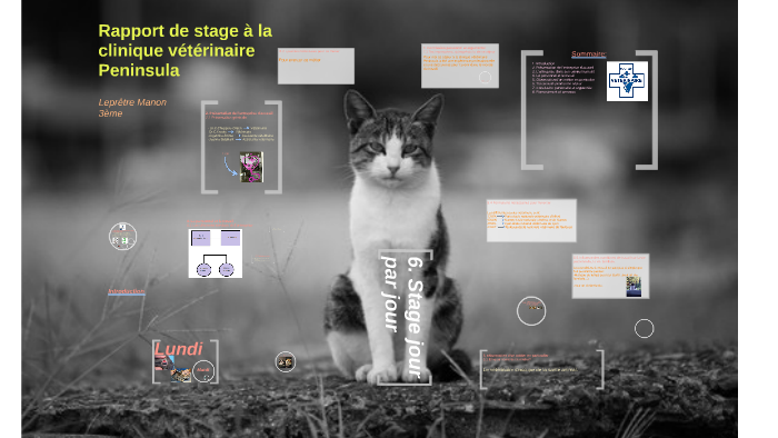Rapport De Stage 3eme By Manon Lepretre
