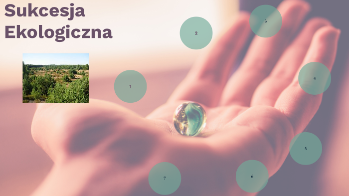 Sukcesja Pierwotna Etapy Sukcesja ekologiczna pierwotna i wtórna by Szymon Nowicki on Prezi