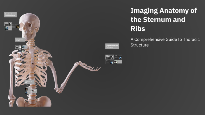 Imaging Anatomy of the Sternum and Ribs by Kamila Masłyk on Prezi
