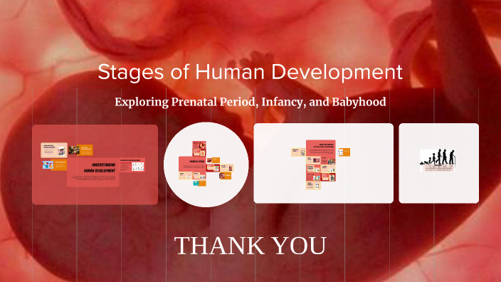 Stages of Human Development by joel jossey on Prezi