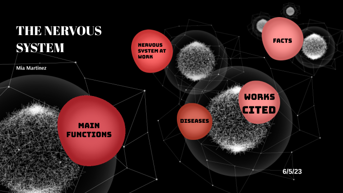 Nervous System by Mia Martinez on Prezi