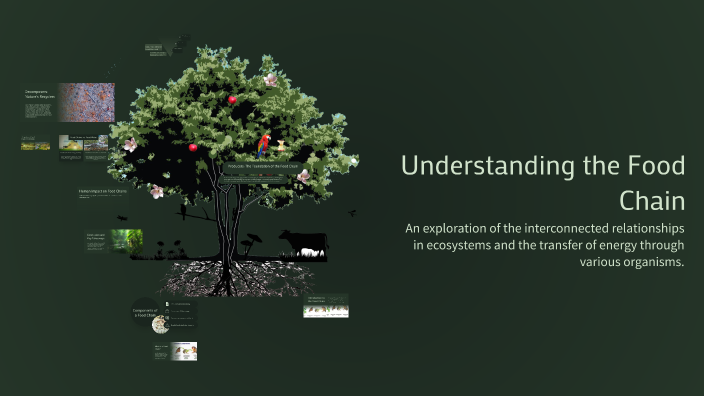 Understanding the Food Chain by nehan sultan on Prezi