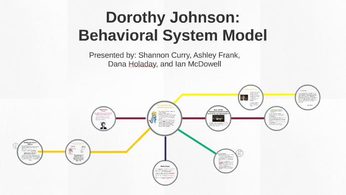 dorothy johnson behavioral system model metaparadigm