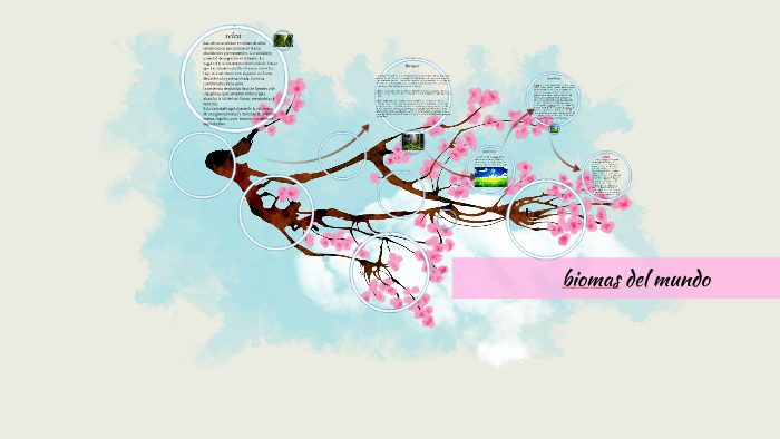 biomas del mundo by stefany velasquez on Prezi
