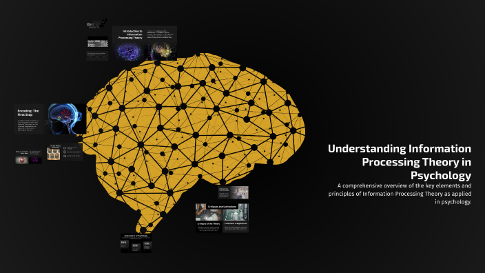 Understanding Information Processing Theory in Psychology by Sophia ...