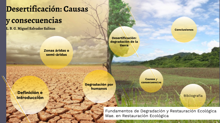 efectos de la desertificacion