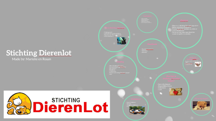 stichting dierenlot.rosan van schaik on prezi