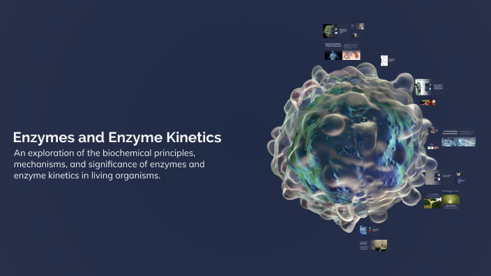 Enzymes and Enzyme Kinetics by Alexander Phillip Luigi Everdeen on Prezi