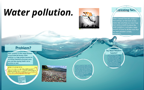 Water pollution. by rachel pomar