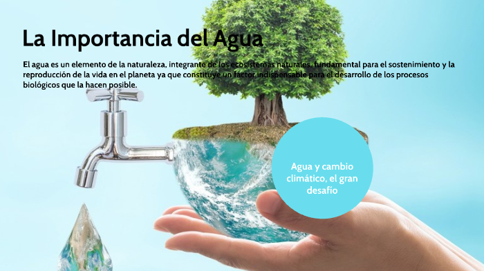 La Importancia del Agua by Katherine Quiroz Pinargote on Prezi