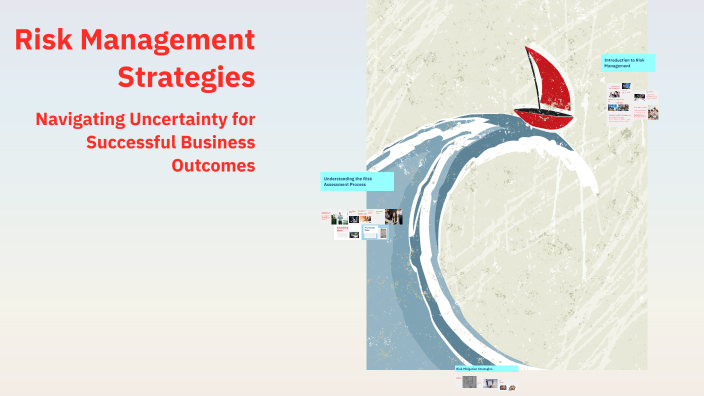 Risk Management Strategies by Eda Butuc on Prezi