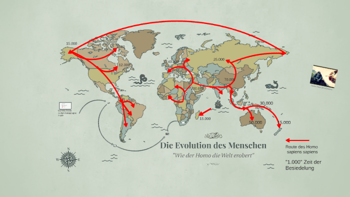 Die Evolution Des Menschen By Max Hentschel On Prezi