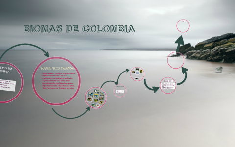 BIOMAS DE COLOMBIA by Fernanda Betancur on Prezi