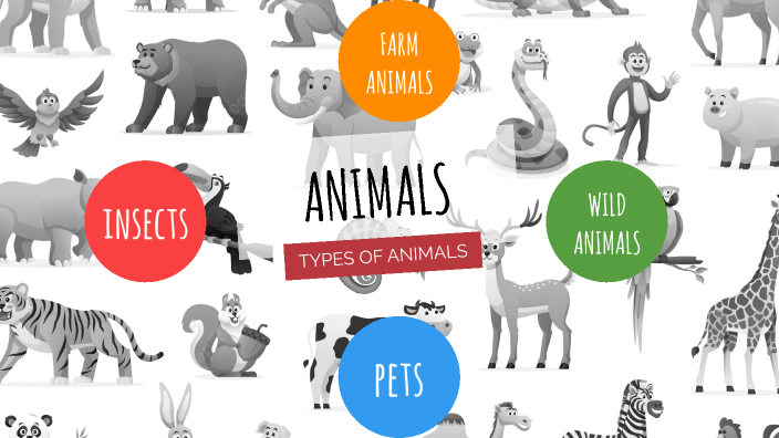 Types of animals by Rocio Olmedo on Prezi