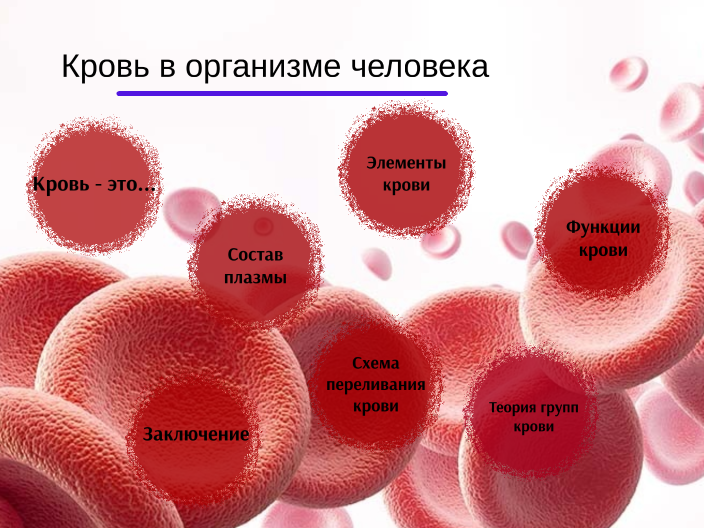 Кровь и её состав by Виктория Ганн on Prezi