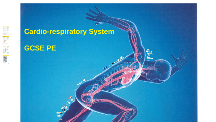 2024 AQA- Cardiovascular System by Emma Mulhern on Prezi