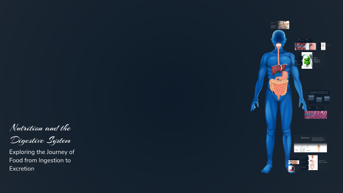 Nutrition and the Digestive System by ilyasse on Prezi