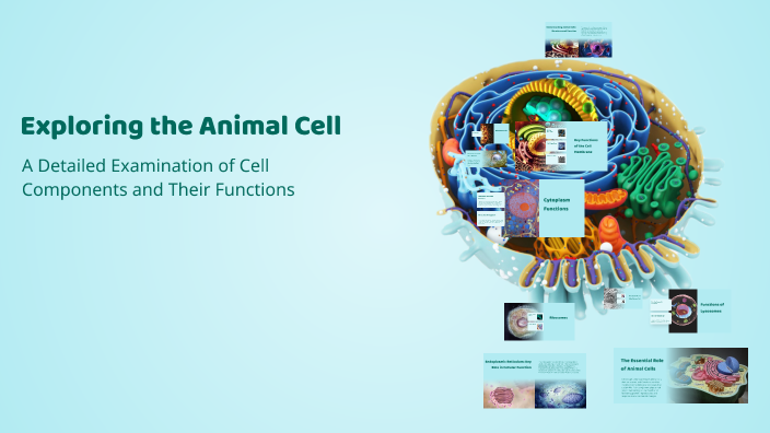 Exploring the Animal Cell by Hassan Douma on Prezi