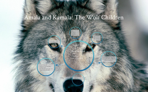 Amala and Kamala: The Wolf Children by Maddie Zawisza and Nancy Pont ...