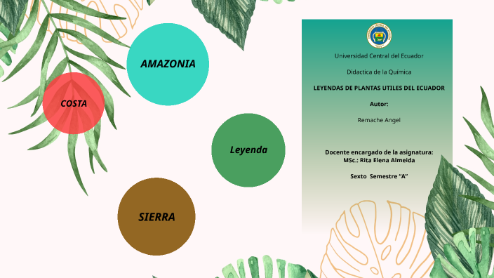 estilo de aprendizaje visual by ángel alexander on Prezi